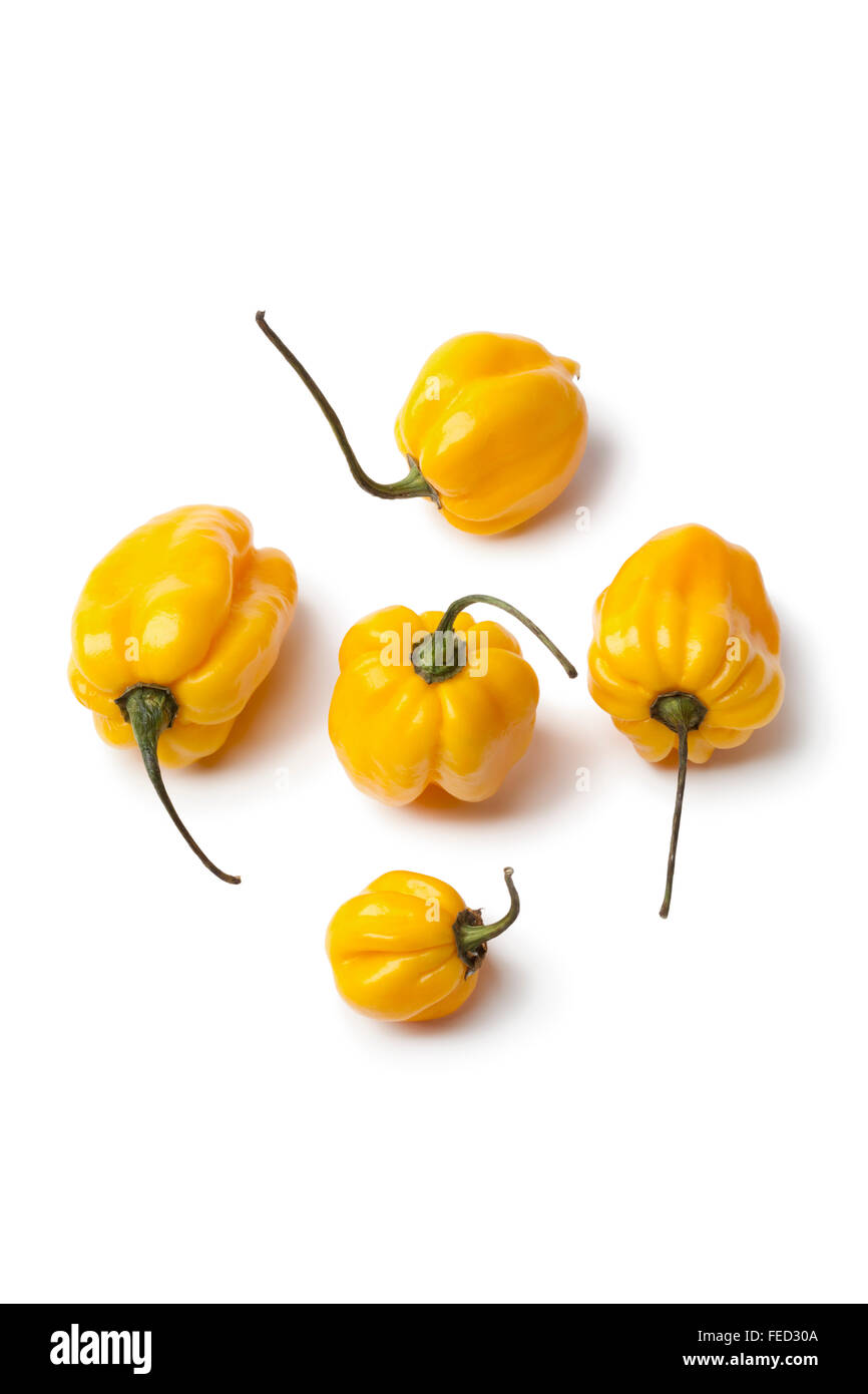 Frische gelbe Scotch Bonnet Chili Paprika auf weißem Hintergrund Stockfoto