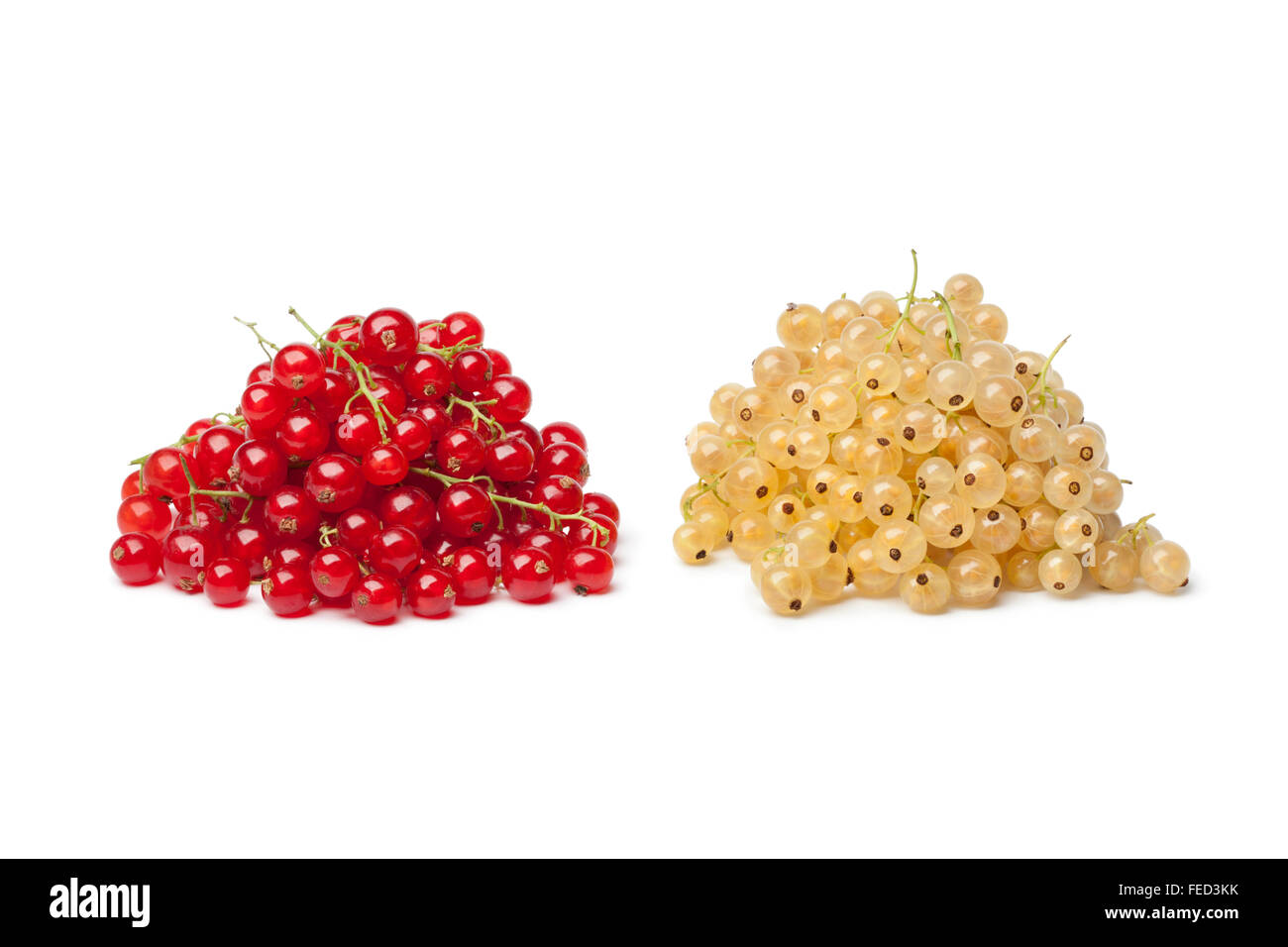 Frische weiße Johannisbeere und roten Johannisbeeren auf weißem Hintergrund Stockfoto