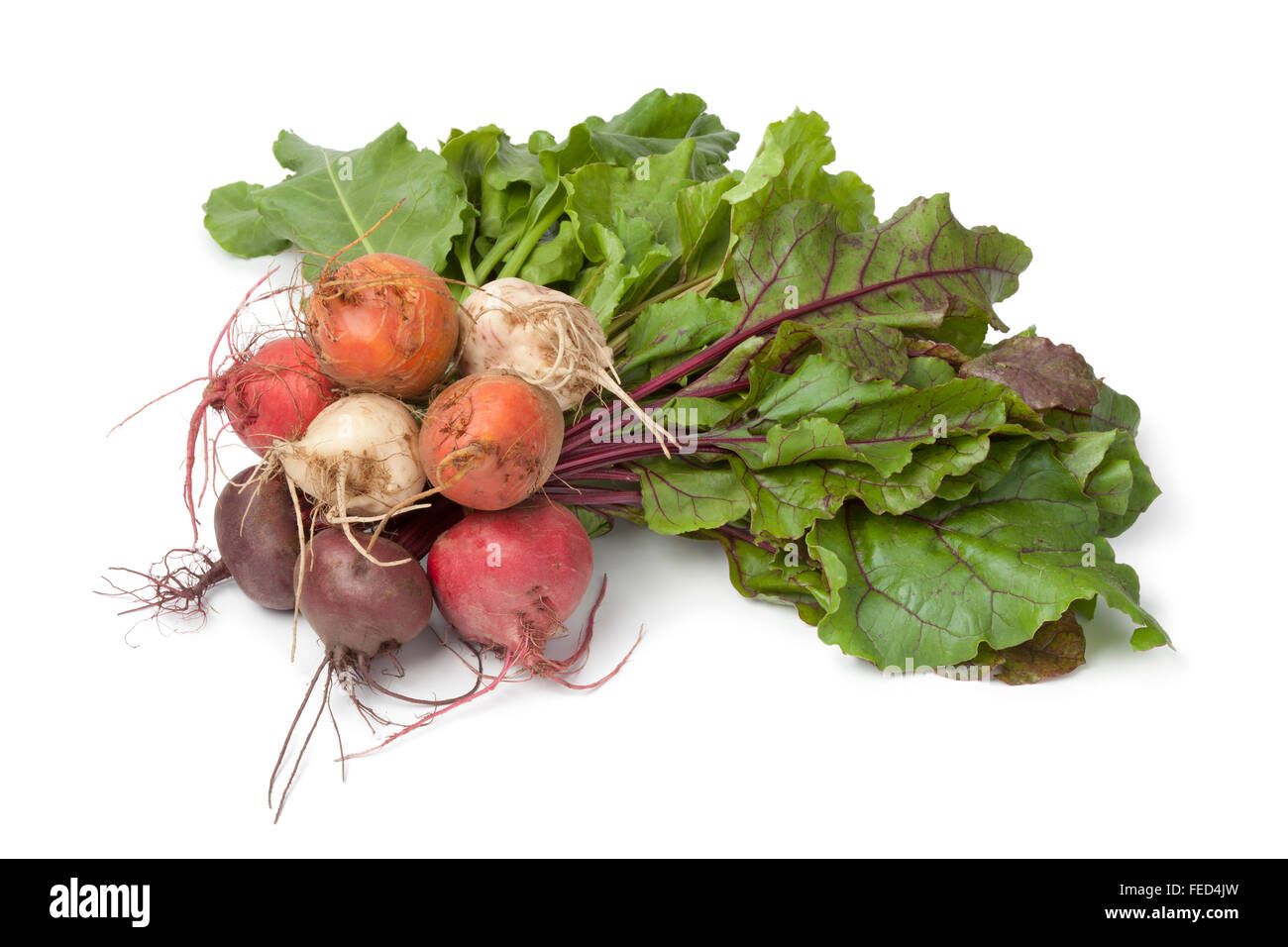 Handvoll frische gemischte Farbe Erbstück Rüben auf weißem Hintergrund Stockfoto