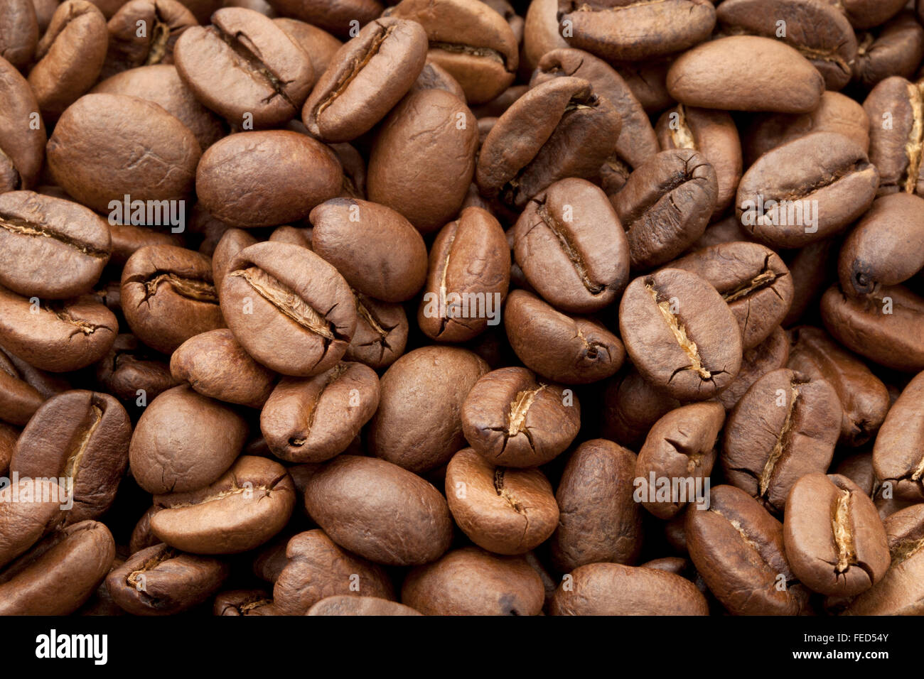 Kaffeebohnen Nahaufnahme full-frame Stockfoto