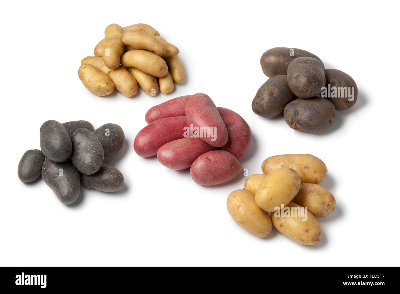 Vielzahl von Erbstück Gourmet-Kartoffeln auf weißem Hintergrund Stockfoto