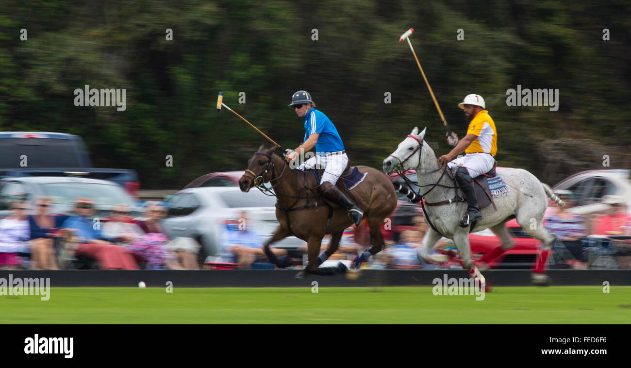 Polo match bei Sarasota Polo Club in Lakewood Ranch in Sarasota Florida Stockfoto