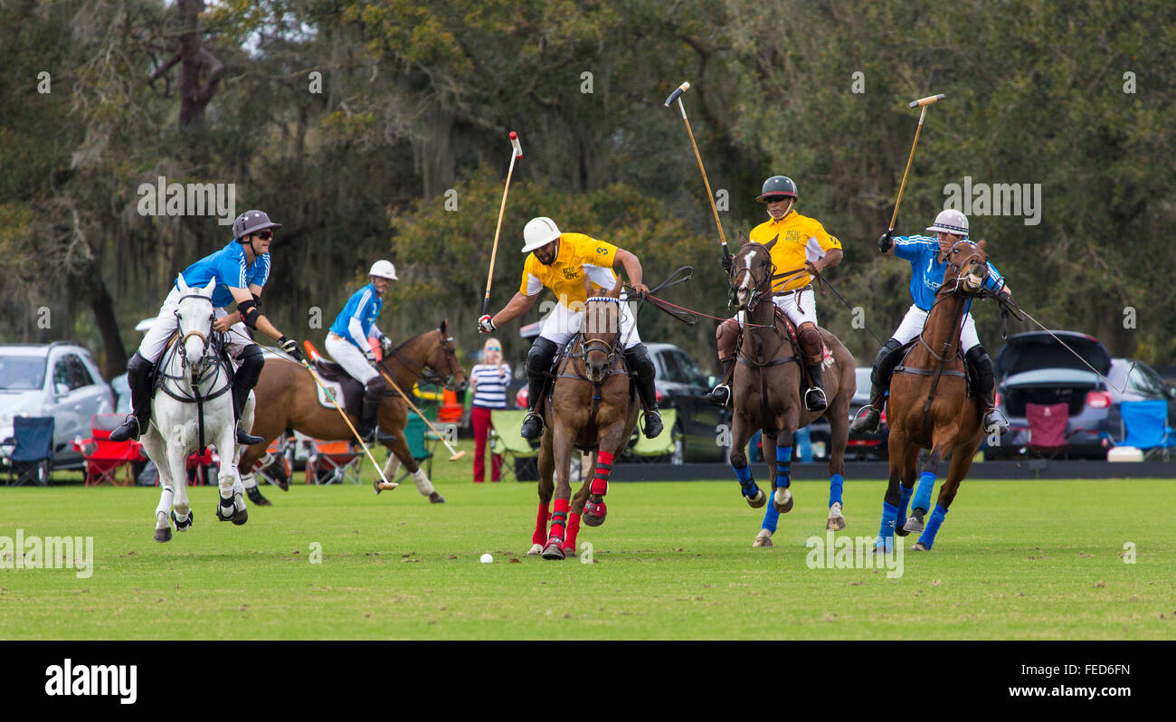 Polo match bei Sarasota Polo Club in Lakewood Ranch in Sarasota Florida Stockfoto