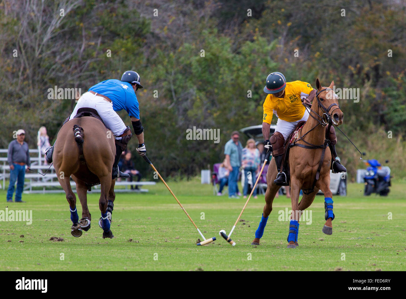 Polo match bei Sarasota Polo Club in Lakewood Ranch in Sarasota Florida Stockfoto