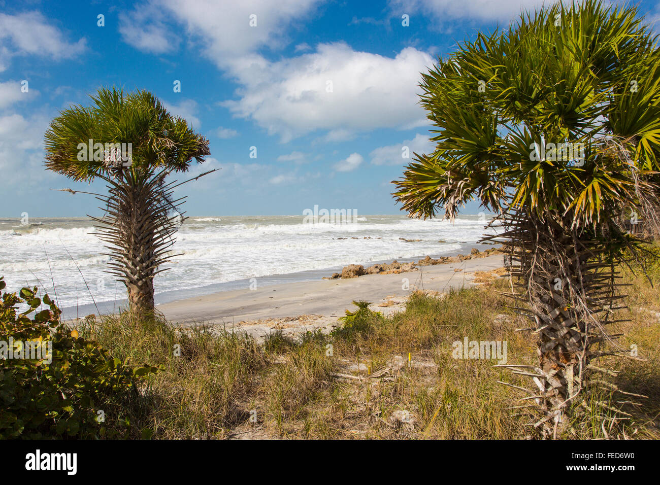 Raue See im Golf von Mexiko am Caspersen Beach in Venice Florida Stockfoto