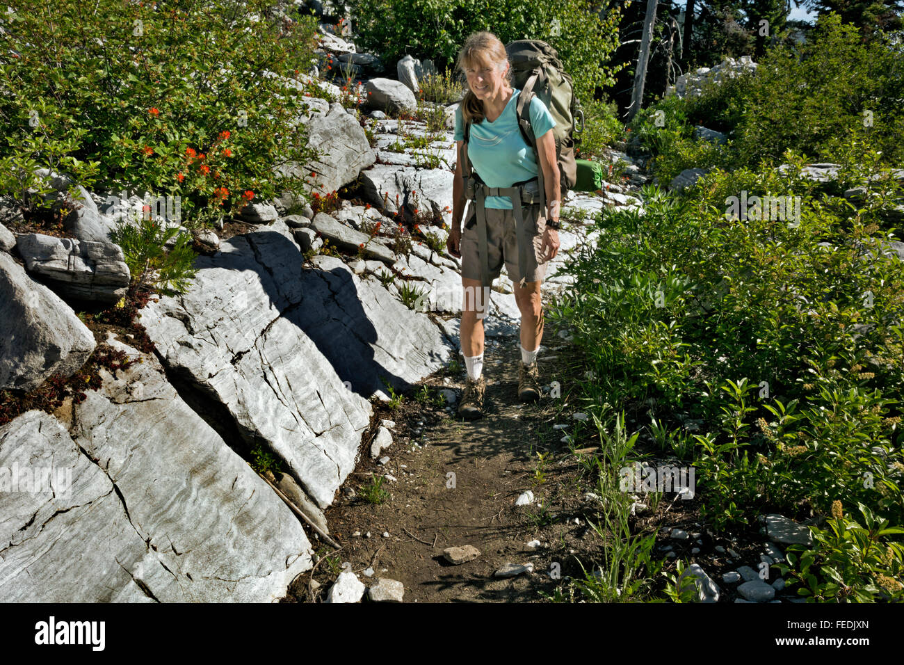 Kalifornien - Wanderer auf PCT Überschrift durch ein Feld von Marmor in the Marble Mountain Wilderness Area. Stockfoto