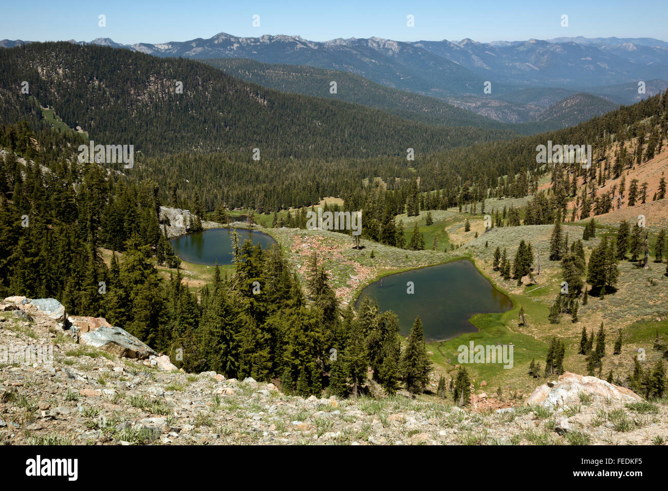 Kalifornien - mit Blick auf den Westen Boulder Creek Valley aus dem Pacific Crest Trail in der Dreiheit-Alpen-Wildnis. Stockfoto