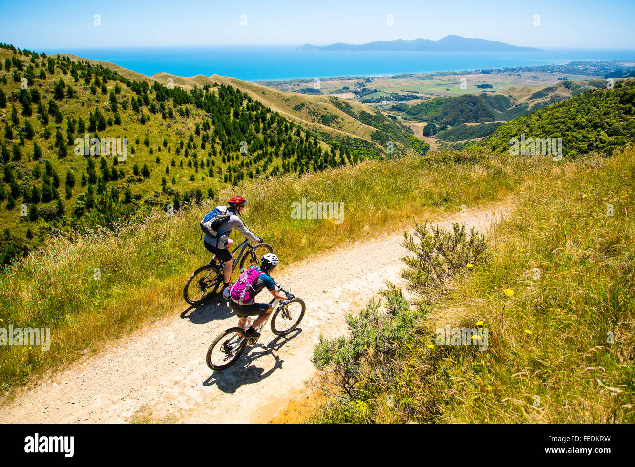 Mountainbiker auf Campbells Mill Road oberhalb Whareroa Farm Park Nordinsel Neuseeland mit Blick auf Kapiti Island Stockfoto