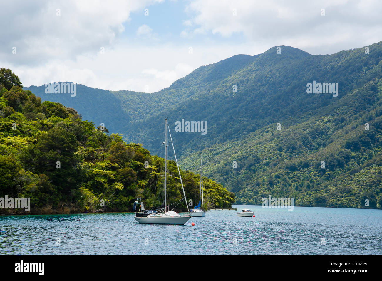 Boote an Punga Cove Endeavour Inlet Marlborough Sounds in Neuseeland Stockfoto
