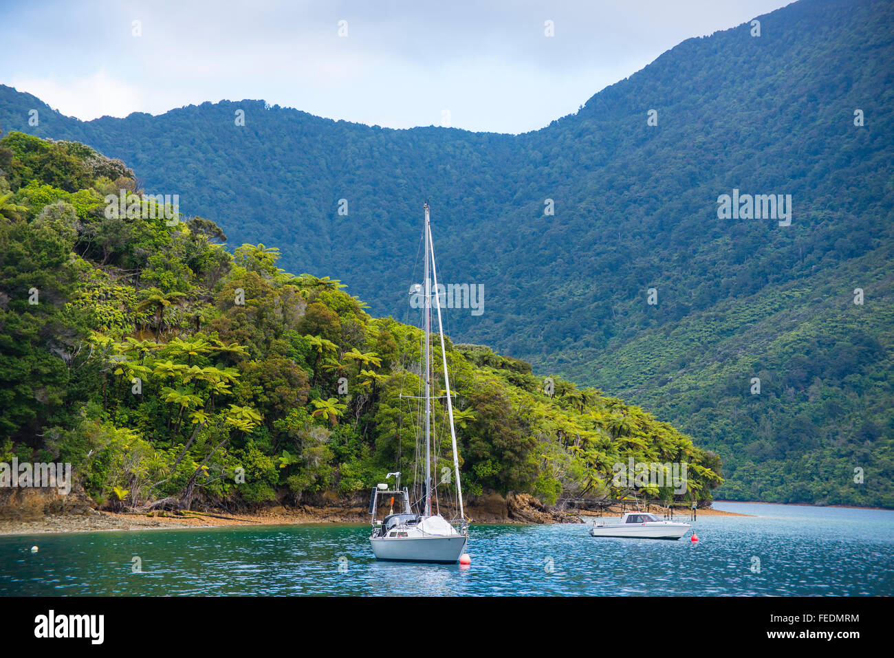Boote an Punga Cove Endeavour Inlet Marlborough Sounds in Neuseeland Stockfoto