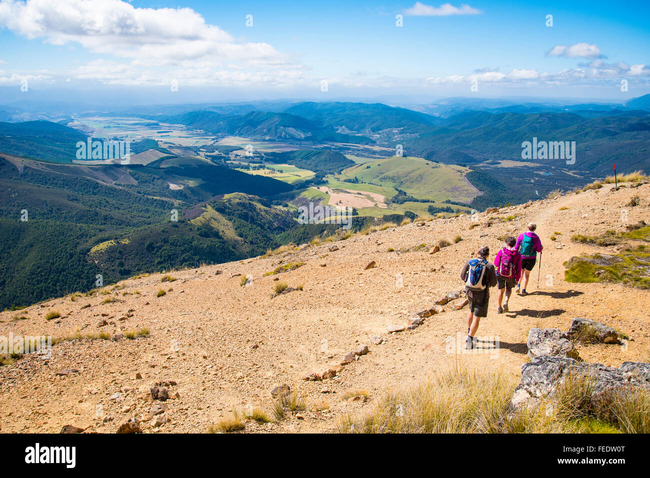 Wanderer Pinchgut Track auf Mount Robert über Lake Rotoiti im Nelson Lakes National Park Südinsel Neuseeland absteigend Stockfoto