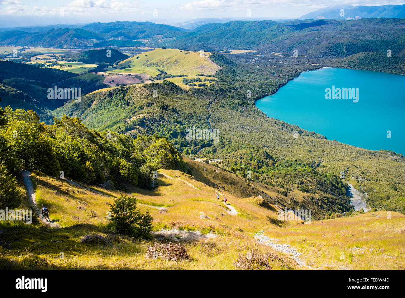 Wanderer Pinchgut Track auf Mount Robert über Lake Rotoiti im Nelson Lakes National Park Südinsel Neuseeland absteigend Stockfoto