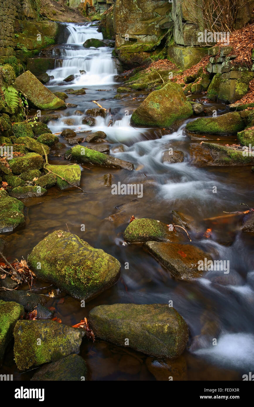 UK, Derbyshire, Peak District, Lumsdale, Bentley Brook Wasserfälle Stockfoto