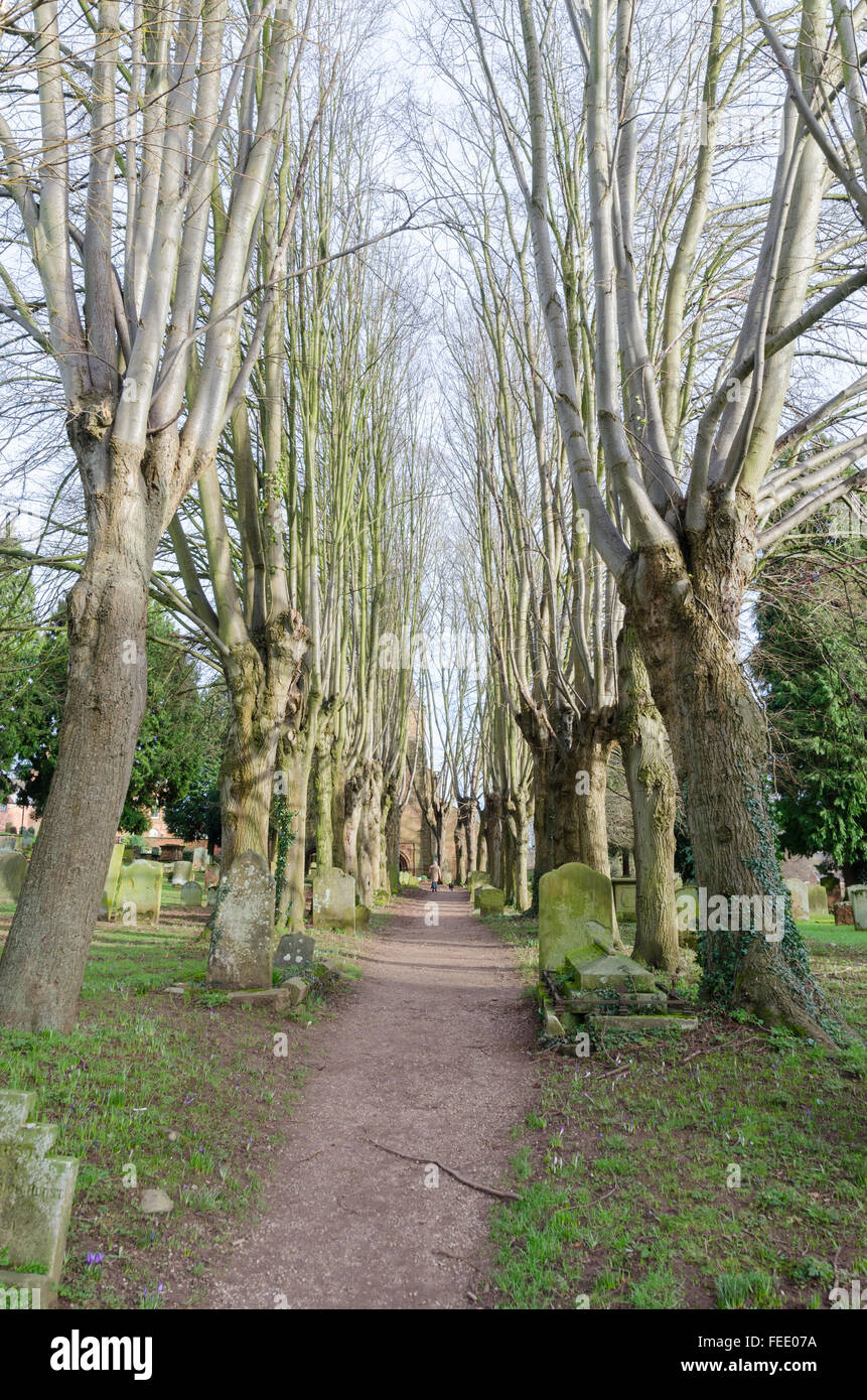 Bäumen gesäumten Pfad läuft über den Friedhof der St.-Nikolaus-Kirche in Kenilworth, Warwickshire Stockfoto