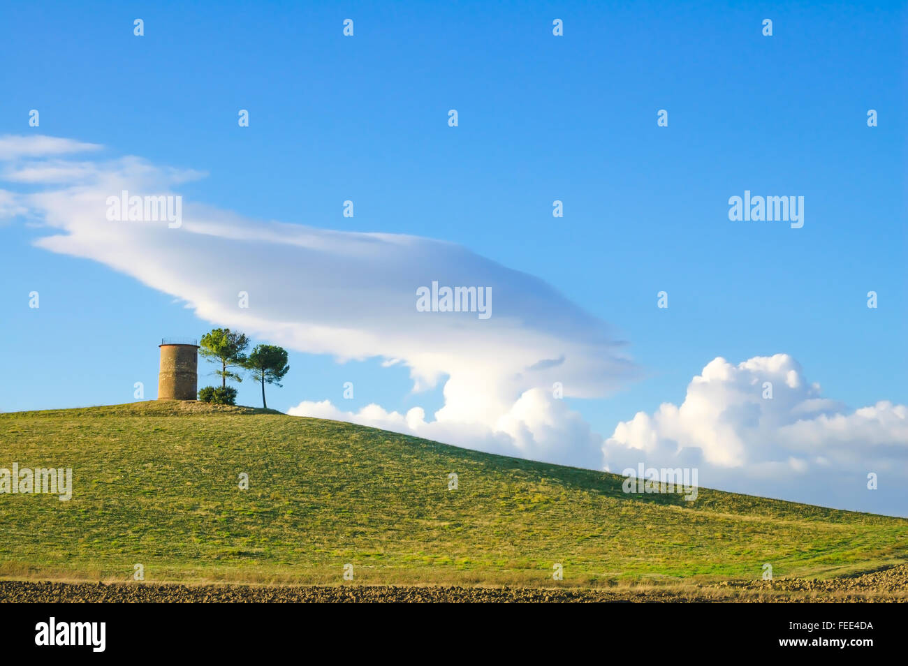Toskana Maremma typische Landschaft mit sanften Hügeln, Bäumen und ländlichen Turm. Stockfoto