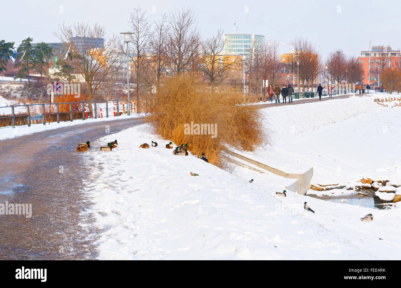 Langelinie Park Promenade in Winter Kopenhagen. Langelinie ist ein Pier, der Promenade und der Park in Kopenhagen, Dänemark, und Heimat der Statue der kleinen Meerjungfrau. Stockfoto