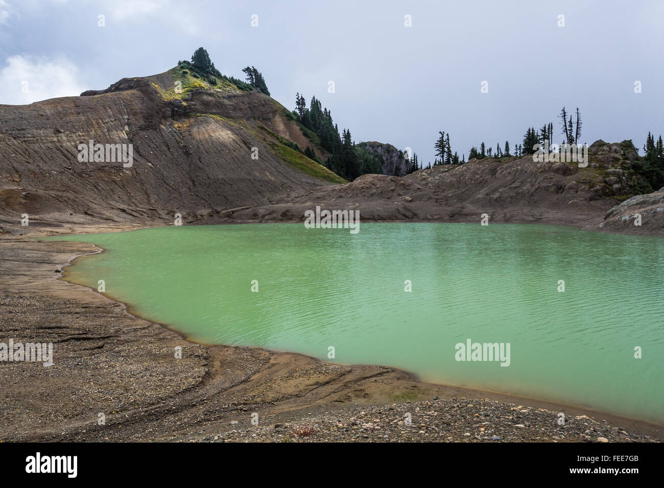 14-Ziege See unterhalb der Ptarmigan Ridge Trail in Mount Baker-Snowqualmie National Forest, Washington State, USA Stockfoto