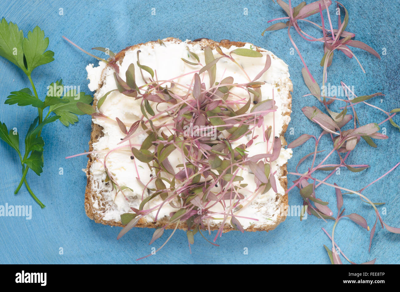 Open-Sandwich auf Platte Stockfoto