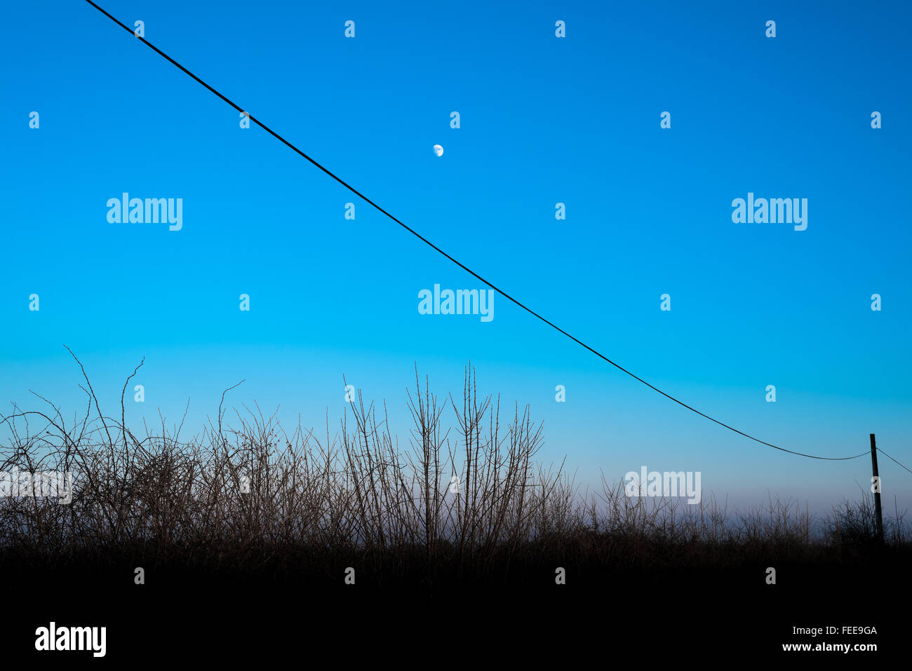 Telegraph Linie gegen einen blauen Himmel und Mond auf Datenträger. Stockfoto