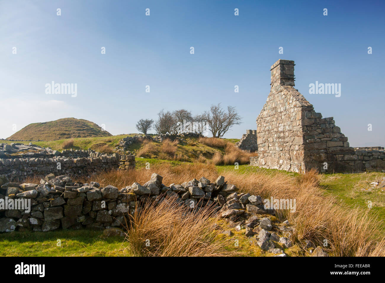 Tomen y Mur entfernten römischen Kastells mit Motte in der Nähe von Trawsfynydd Gwynedd Snowdonia NP North Wales UK Stockfoto