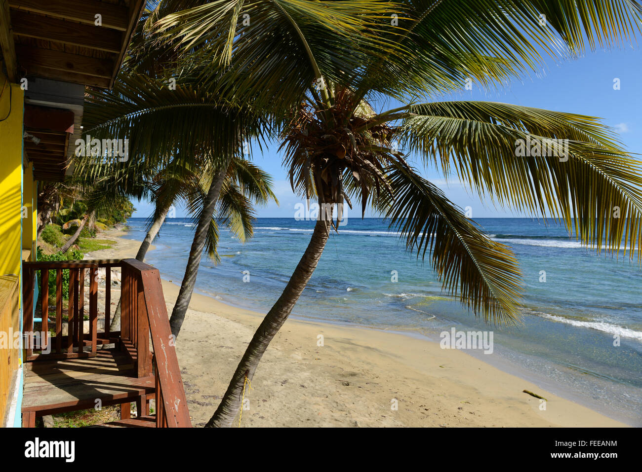 Tropischen Szene entlang der Küste der Stadt Patillas, Puerto Rico. Karibik-Insel. US-Territorium. Stockfoto