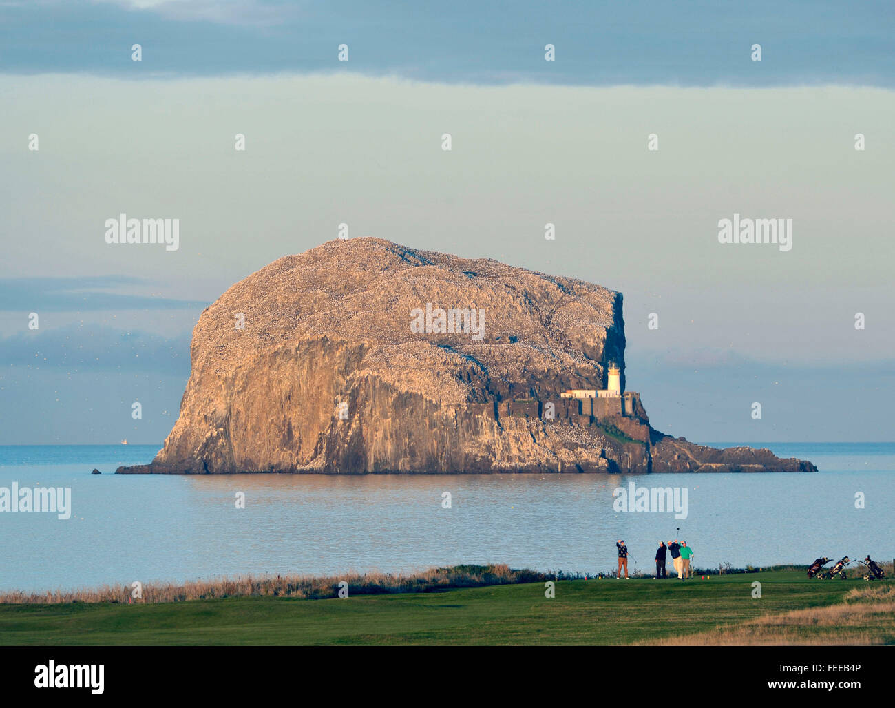 12. Oktober 2014, The Glen Golf Course und dem Bass Rock, North Berwick, UK. Golfer auf 15. Fairway mit dem Bass Rock hinter. Stockfoto