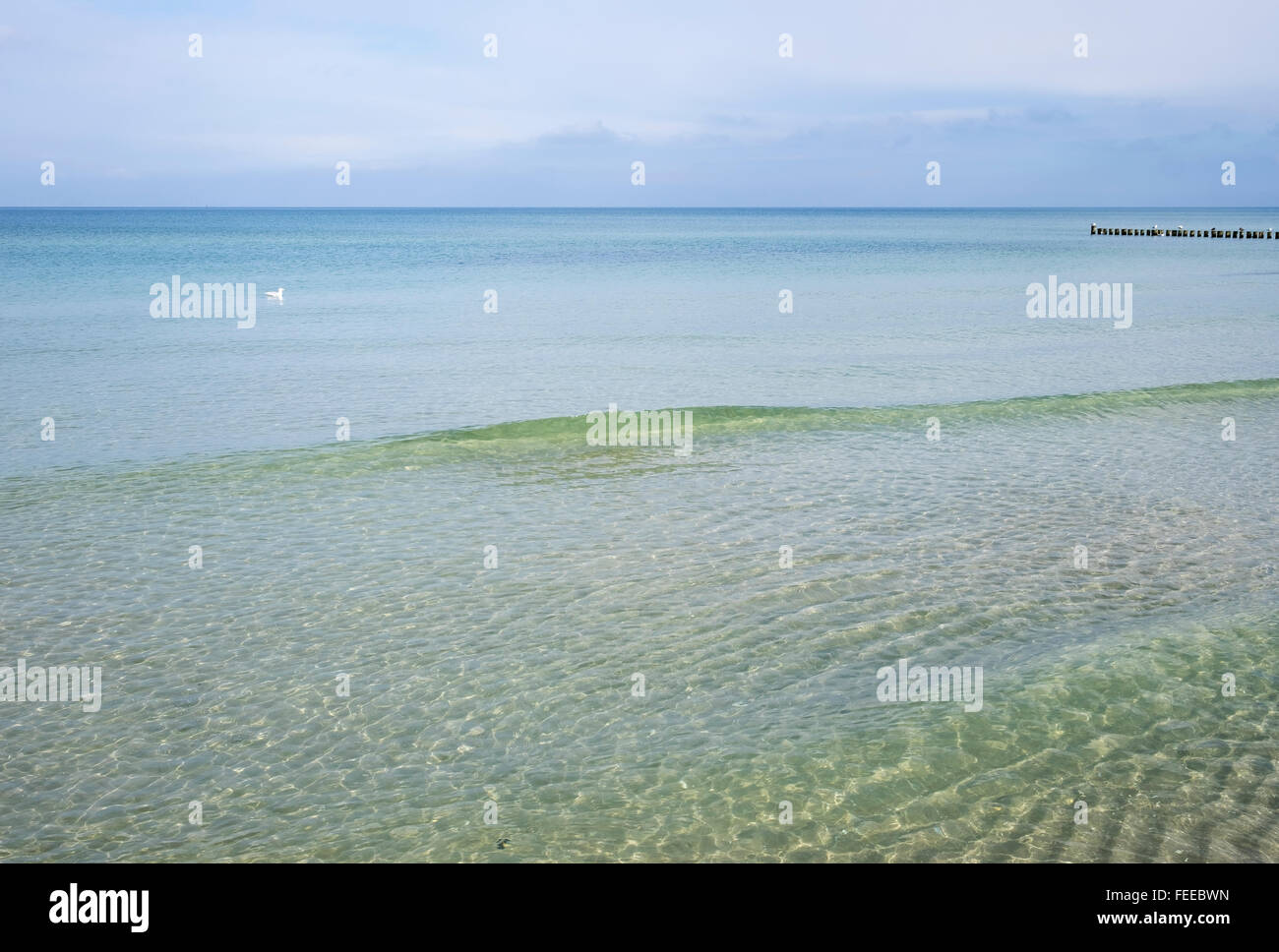 Ruhigen Ostsee mit kleinen Welle, Darß, Fischland-Darß-Zingst, Mecklenburg-Western Pomerania, Deutschland Stockfoto