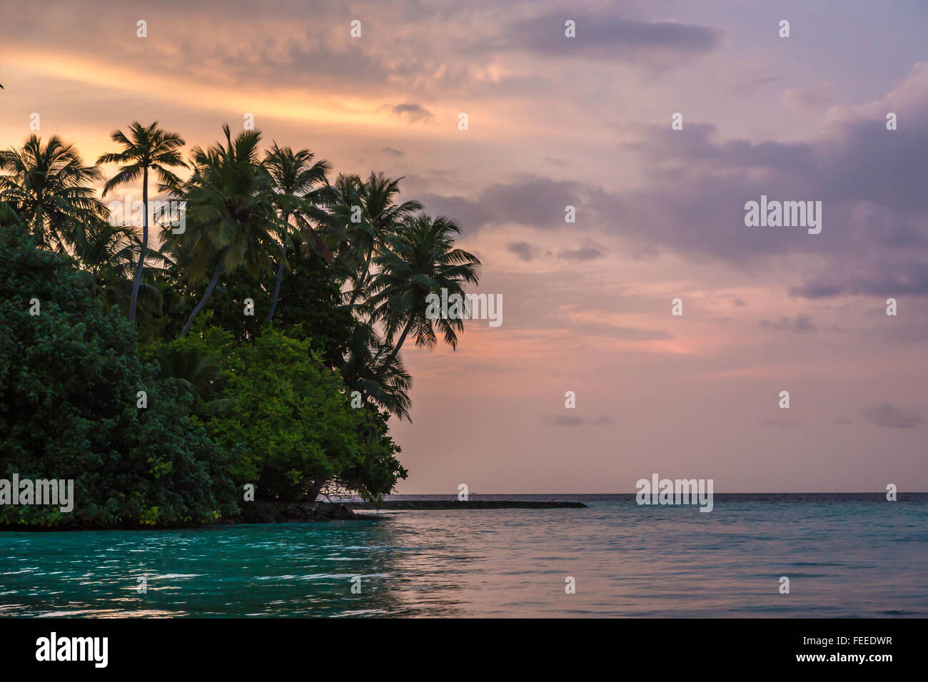 Sonnenuntergang und Palmen, tropische Insel, Malediven Stockfoto