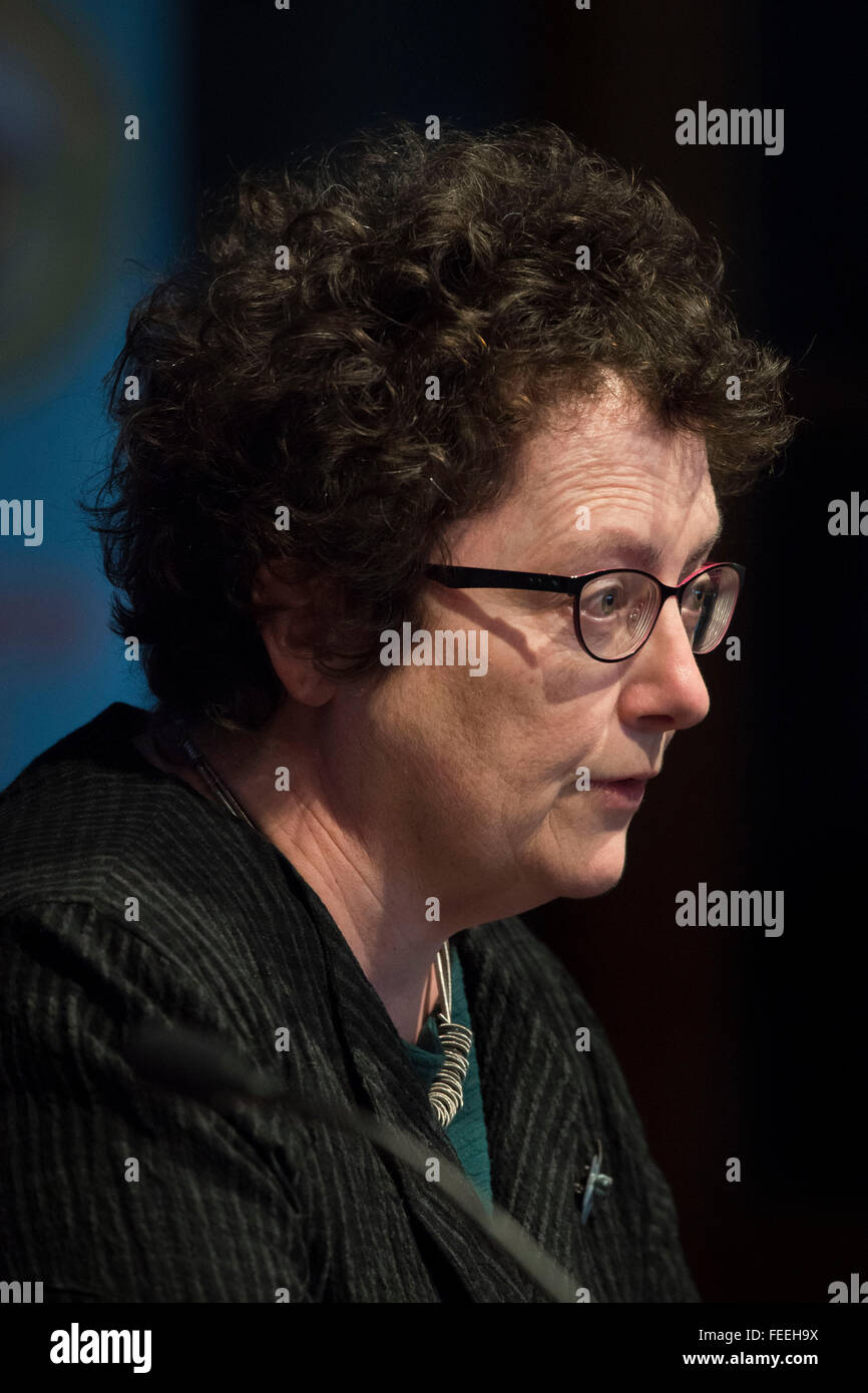 Plaid Cymru AM Elin Jones. Stockfoto