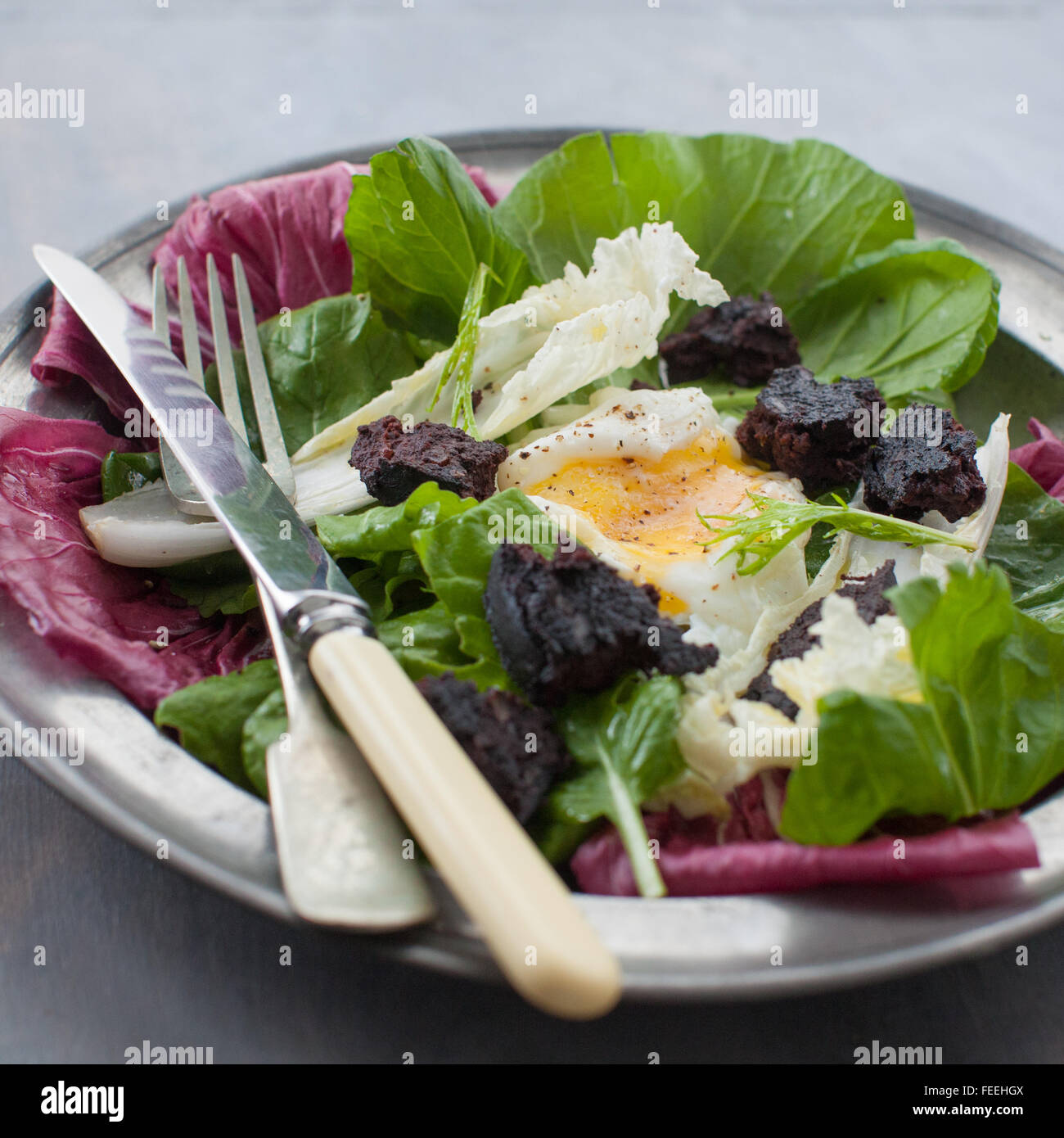 Bio Blatt, Blutwurst und pochiertem Ei Salat. Stockfoto