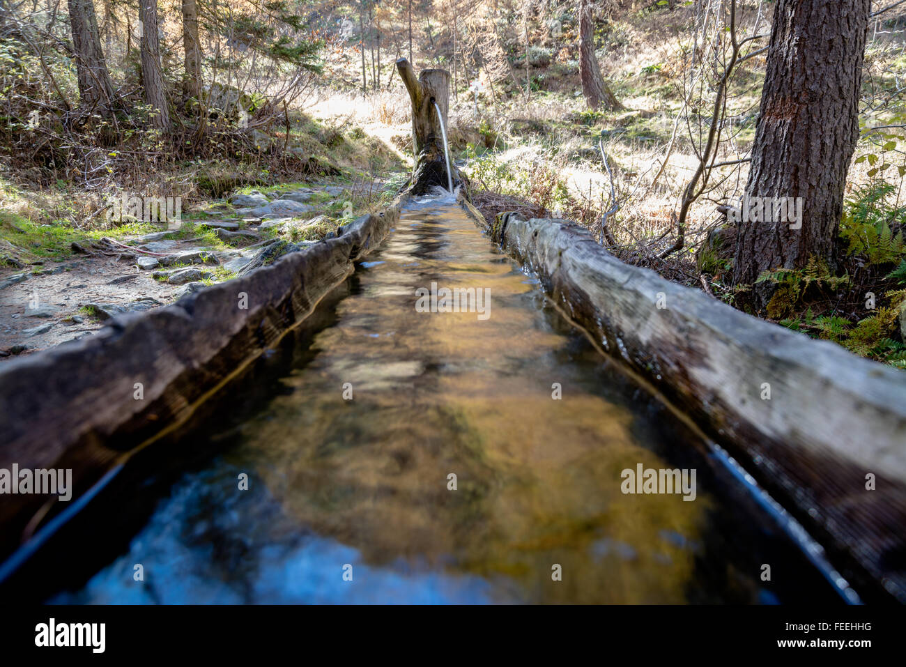 Schöne alte hölzerne Brunnen mit fließendem Wasser und Reflexionen der Bäume auf dem Valle Antrona, Ossola, Piemont. Stockfoto