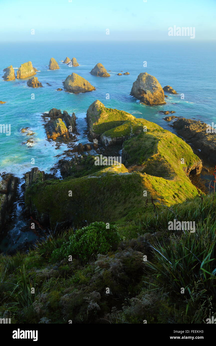 Einige von den zahlreichen "Nuggets" am Nugget Point Lighthouse an der Catlins Coast of New Zealand. Stockfoto