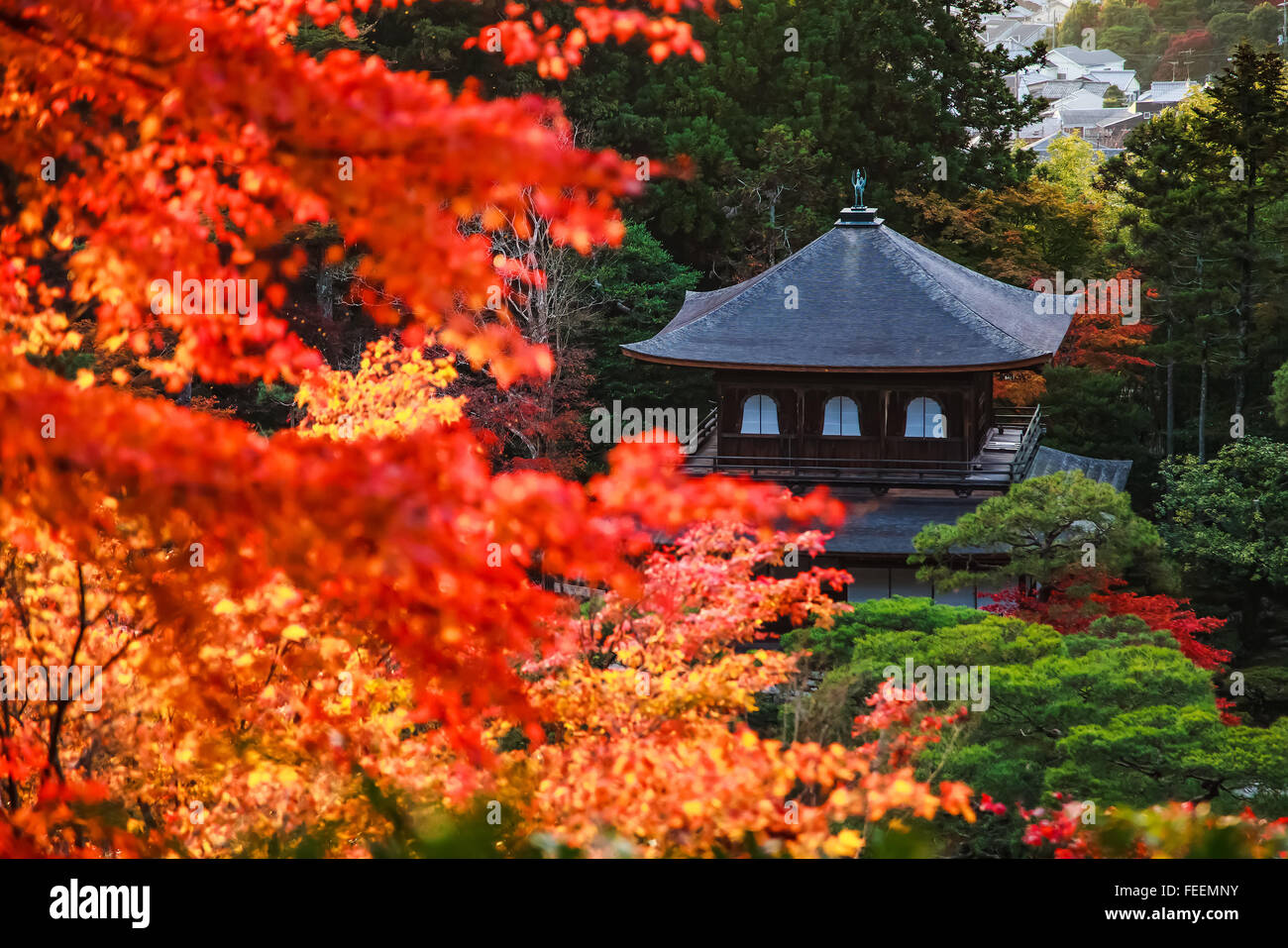 Silber-Pavillon, Ginkakuji-Tempel in Kyoto, Japan Stockfoto