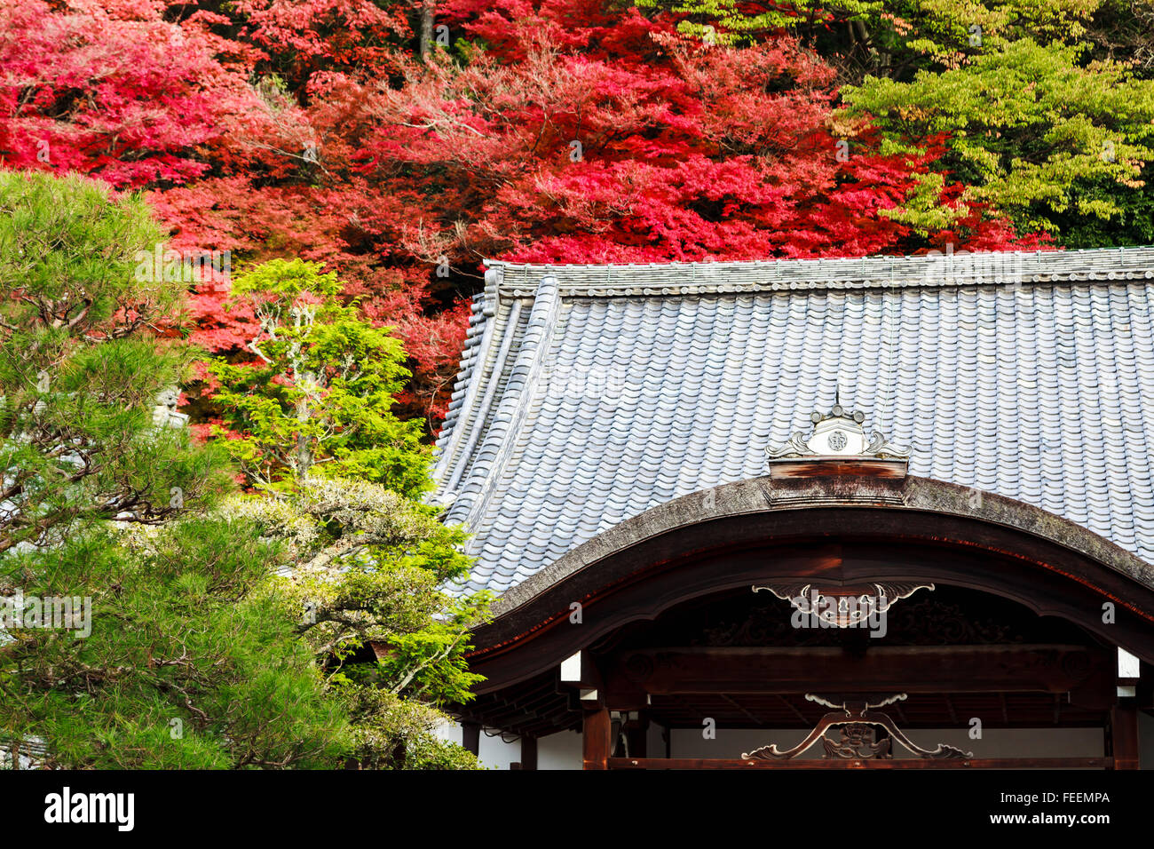 Nanzen Tempel im Herbst, Kyoto, Kansai, Japan Stockfoto