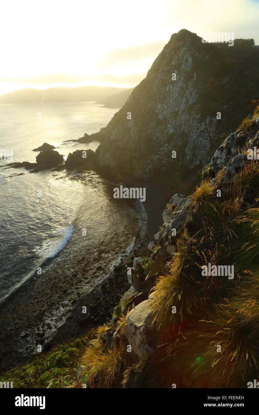 Einige von den Klippen um Nugget Point in den Catlins Küste Neuseelands. Stockfoto