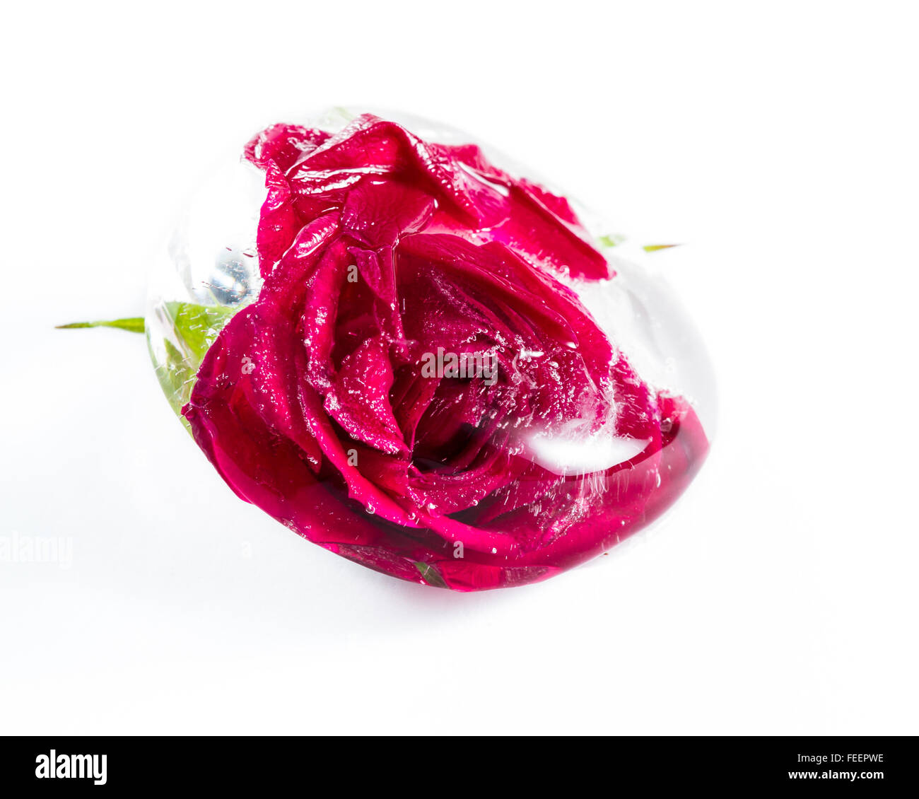 Nahaufnahme von einer kleinen roten Rose in einen Eiswürfel hinzufügen, schöne Linien und künstlerische Element der Verzerrung mit Luftblasen eingefroren Stockfoto