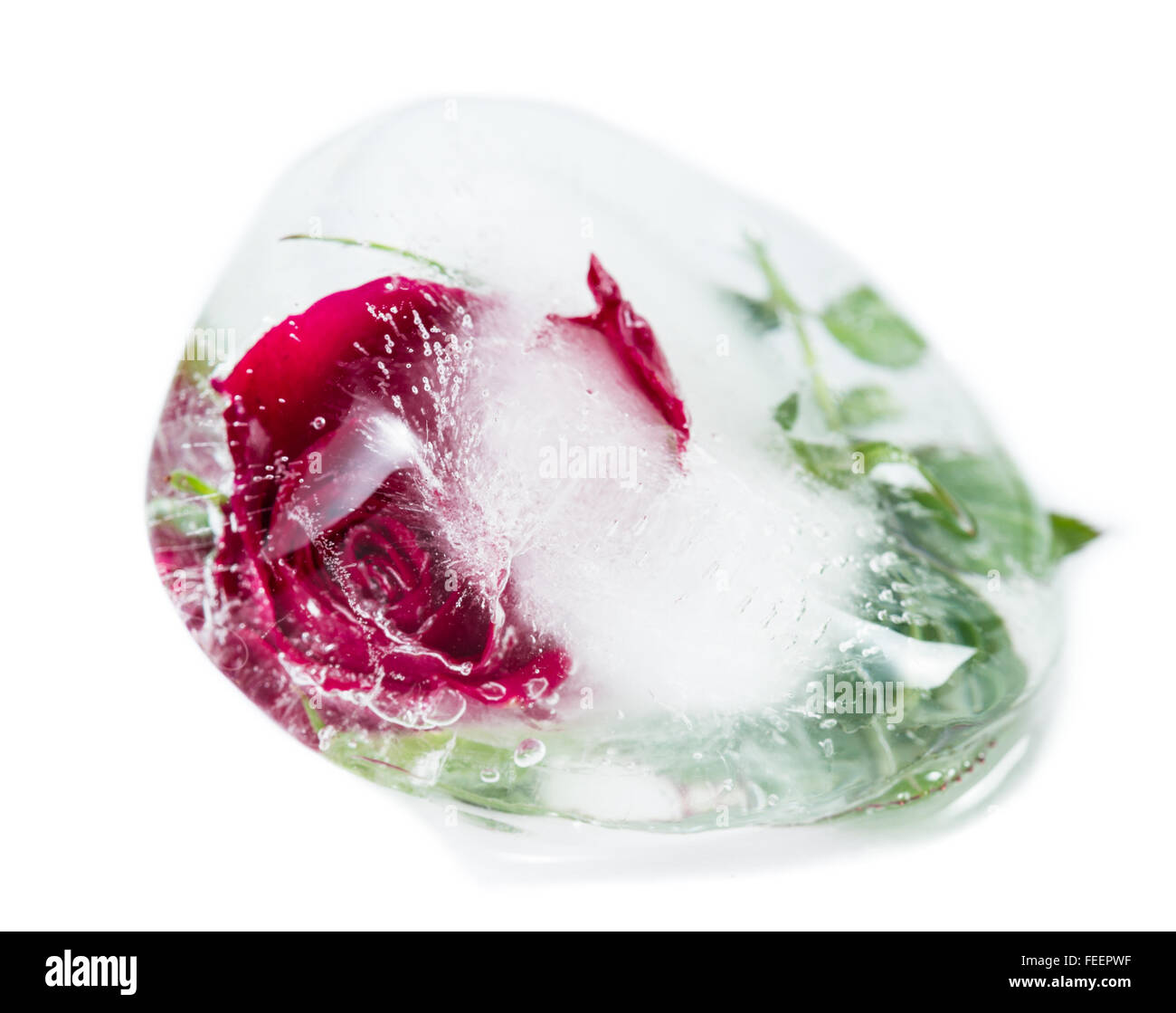 Nahaufnahme von einer kleinen roten Rose in einen Eiswürfel hinzufügen, schöne Linien und künstlerische Element der Verzerrung mit Luftblasen eingefroren Stockfoto