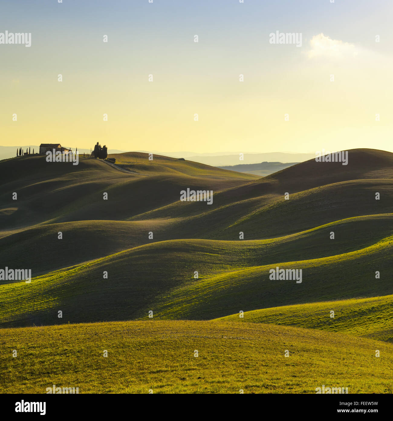 Toskana, Landschaft im Land der Crete Senesi. Rolling Hills, Landschaft Bauernhof, Zypressen Bäumen, grünen Wiese auf warmen Sonnenuntergang. Sie Stockfoto