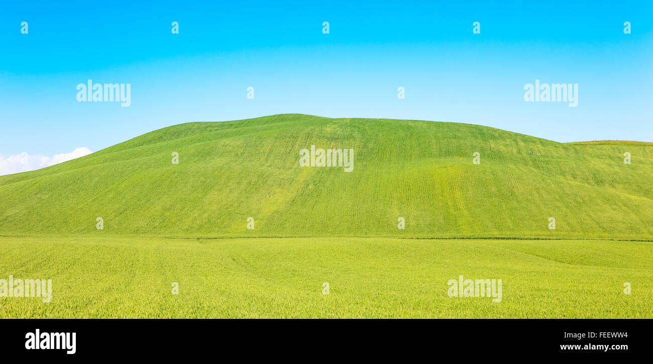 Ländlichen Hintergrund, sanfte Hügel, klaren, blauen Himmel und grünen Feldern Landschaft, Crete Senesi, Toskana, Italien. Stockfoto