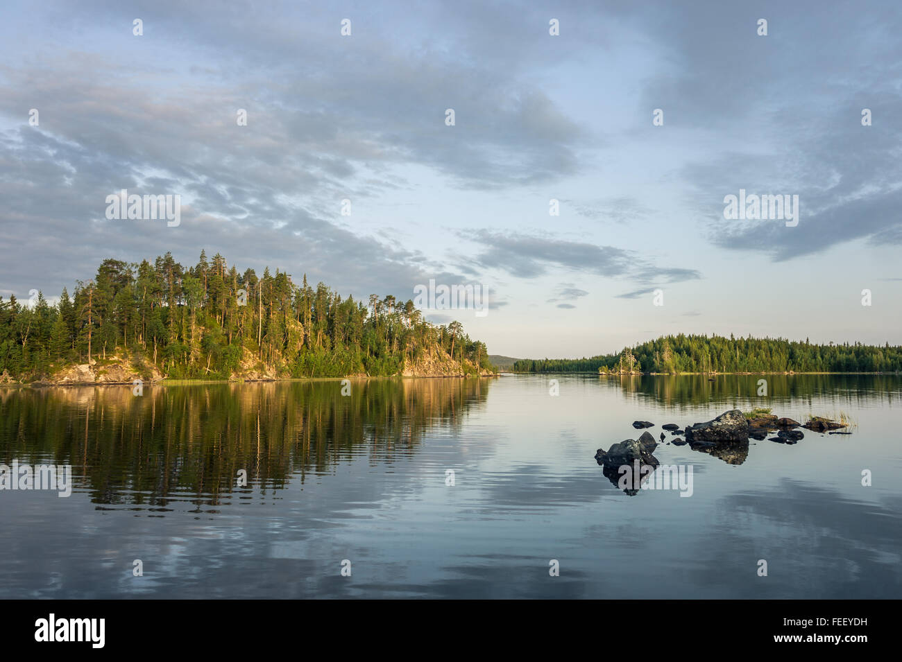 See mit kleinen Inseln und Kiefernwald im russischen Norden in der Nähe von Finnland Stockfoto