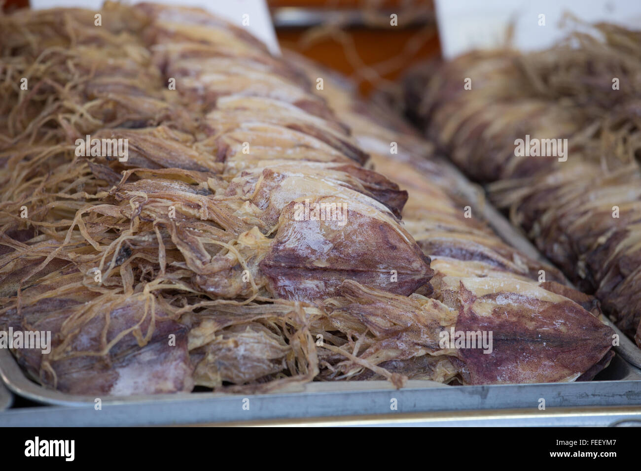 Tintenfisch trocknen in zum Verkauf am Markt Stockfoto