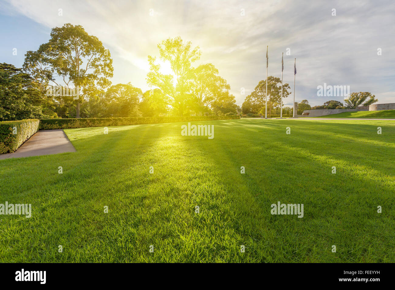 Nassen Sie Rasen mit steigenden Sonne durch die Bäume im Hintergrund und drei Fahnenmasten mit australische Flaggen. Stockfoto