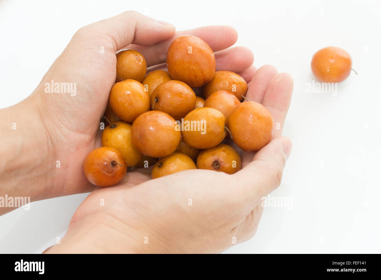 Jujube oder Chinesisch Datum auf weißem Hintergrund Stockfoto