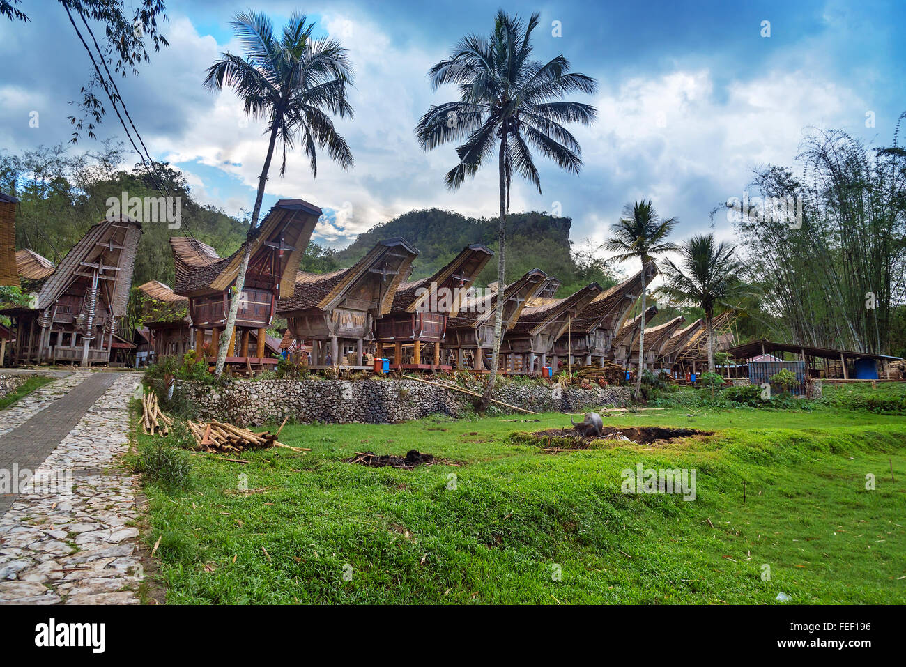 Tongkonan traditionelles Dorf Kete Kesu. Tana Toraja, Sulawesi. Indonesien Stockfoto