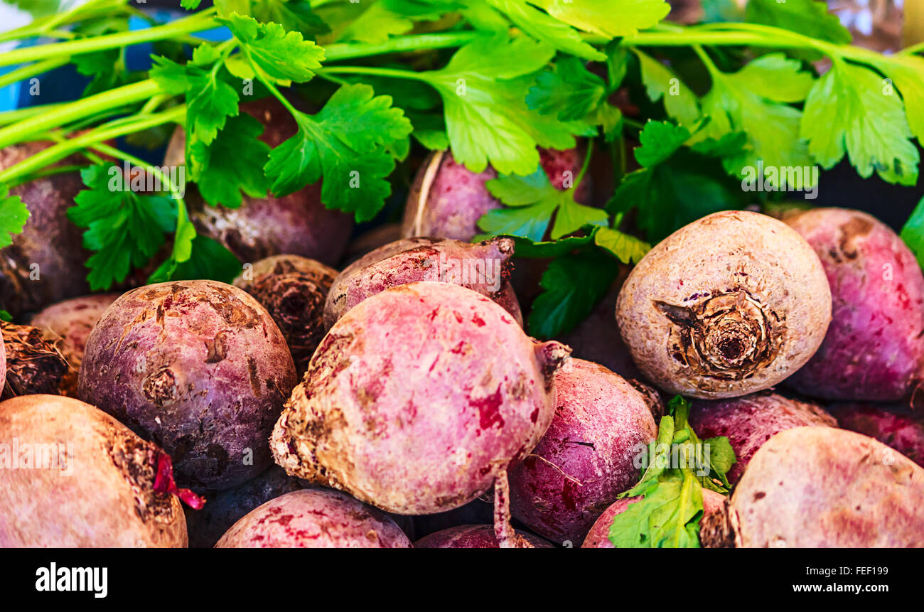 Frische rote Beete und Petersilie Stockfoto