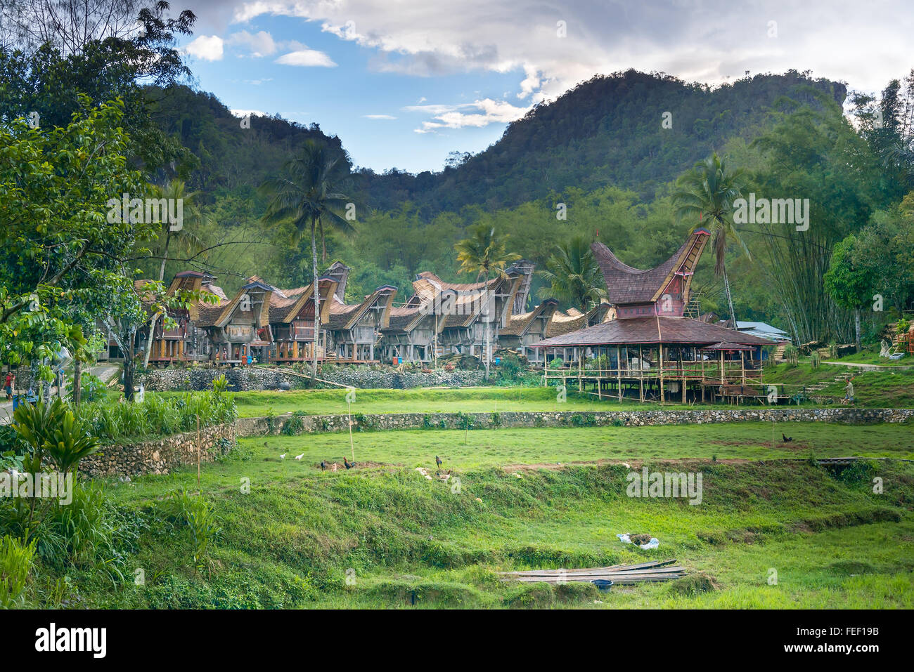 Tongkonan traditionelles Dorf Kete Kesu. Tana Toraja, Sulawesi. Indonesien Stockfoto