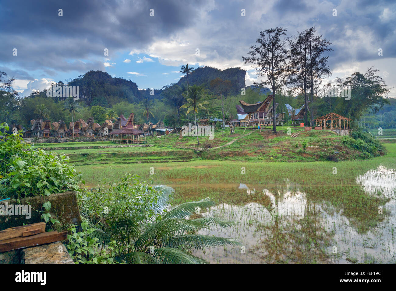 Tongkonan traditionelles Dorf Kete Kesu. Tana Toraja, Sulawesi. Indonesien Stockfoto