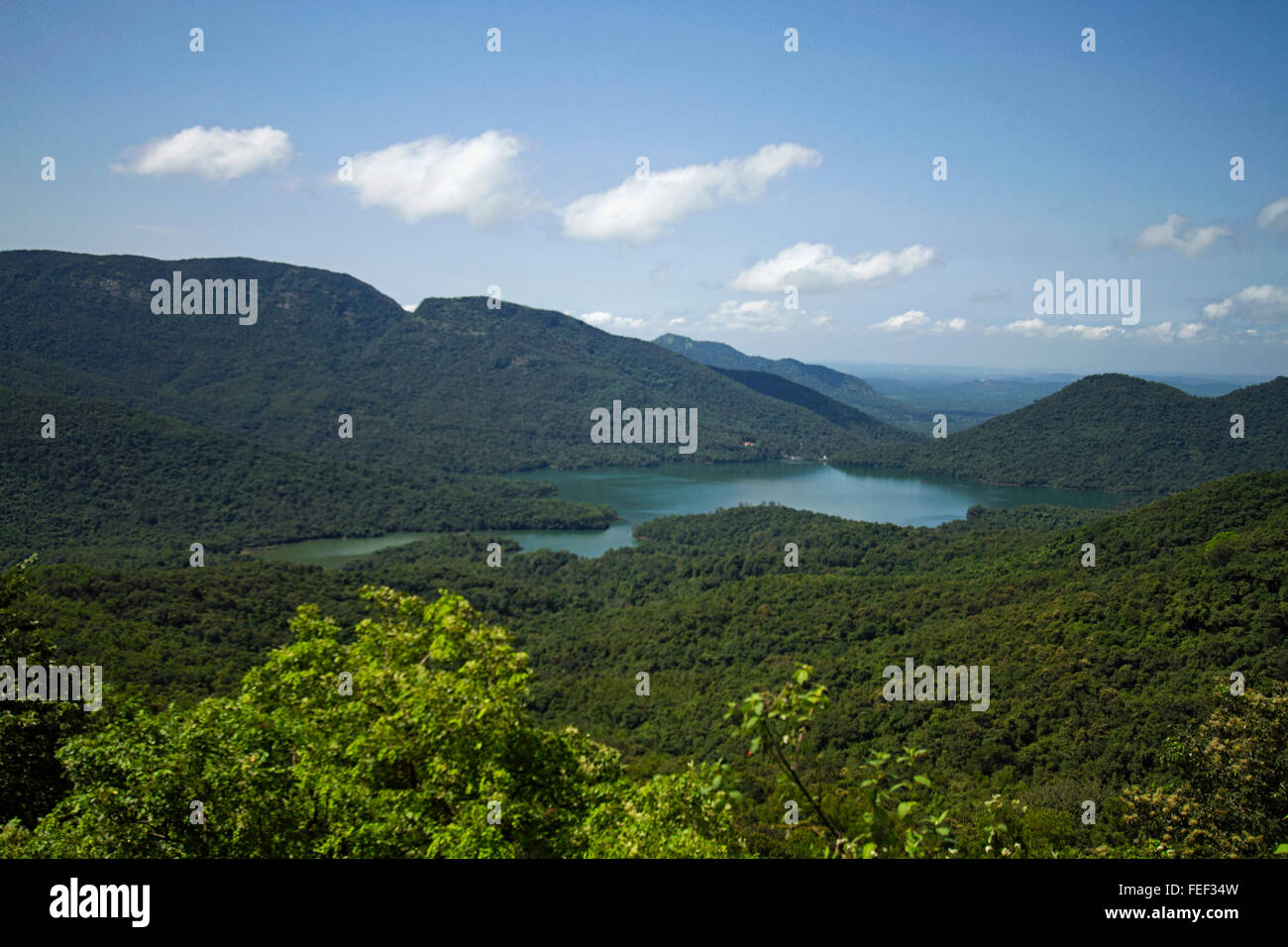 Angesichts der vorgeschlagenen mahdei Tiger Reserve. chorla Ghats, Goa, Indien Stockfoto