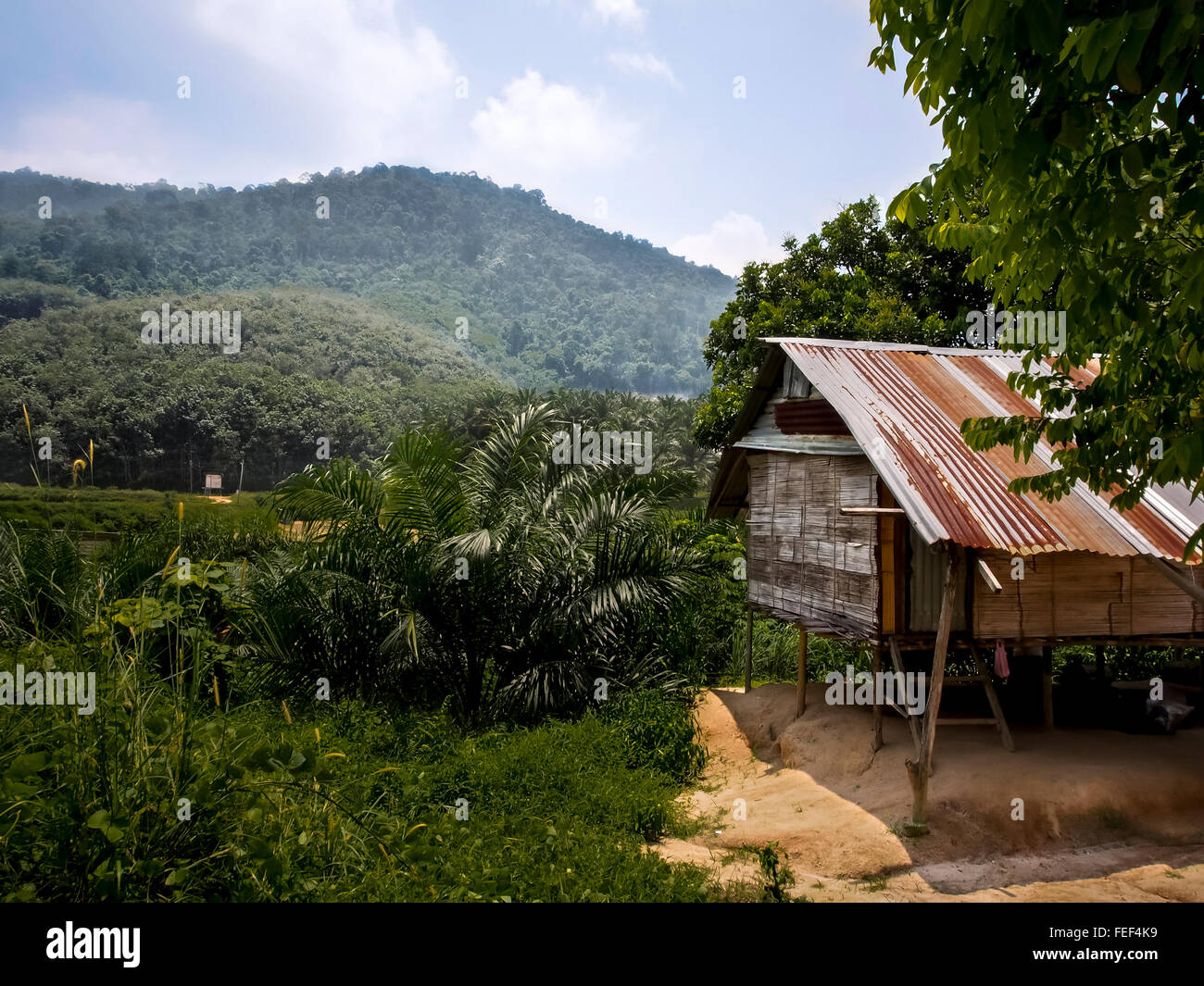 Landhaus mit Gebirgshintergrund Stockfoto