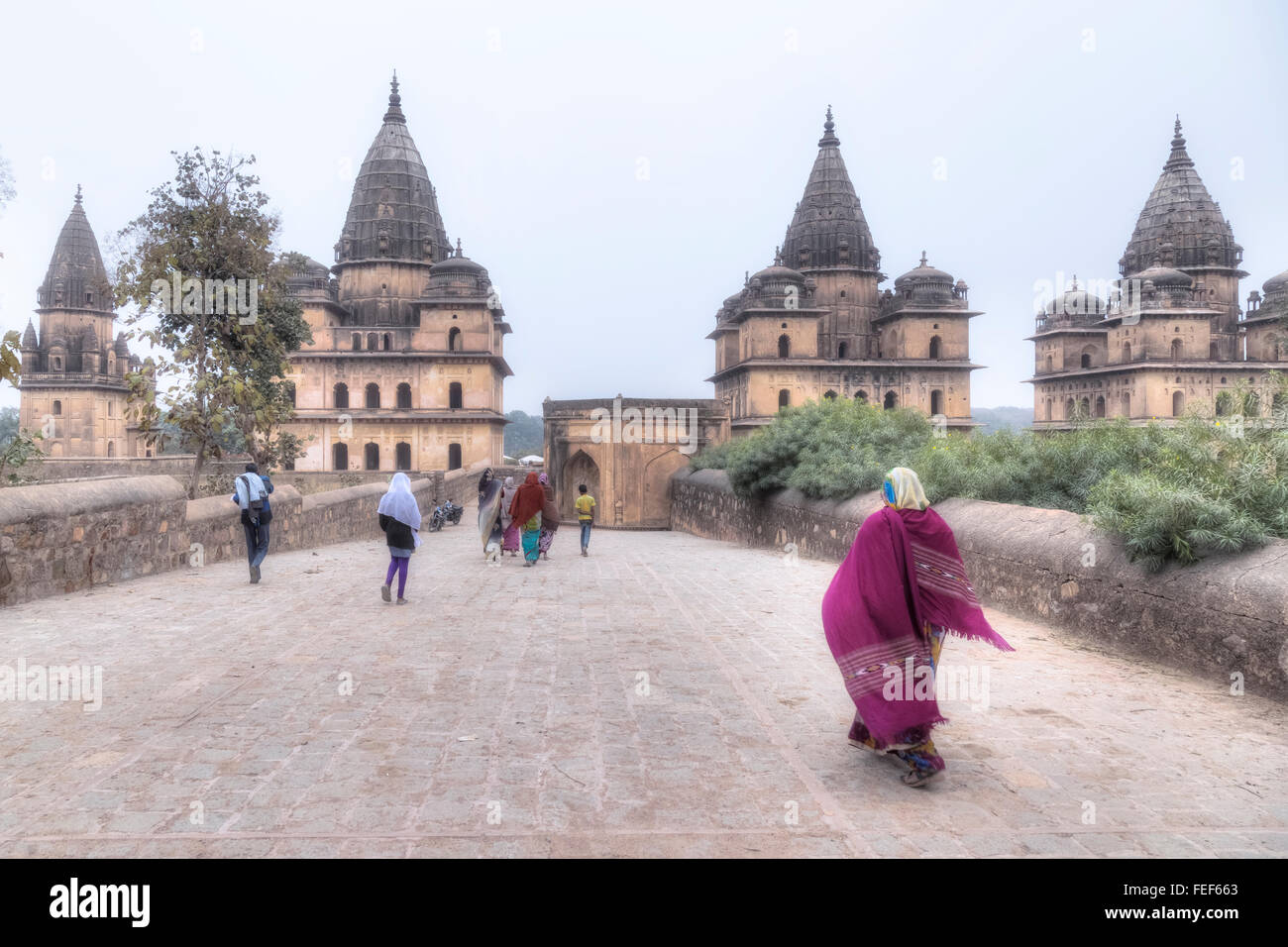 Ehrenmale, Orchha, Madhya Pradesh, Indien, Südasien Stockfoto